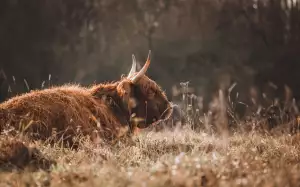 Jak Zjistit Počet Bodů